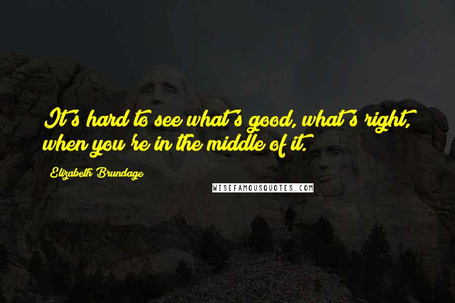 Elizabeth Brundage Quotes: It's hard to see what's good, what's right, when you're in the middle of it.