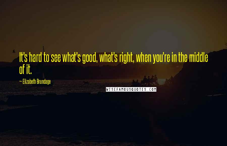 Elizabeth Brundage Quotes: It's hard to see what's good, what's right, when you're in the middle of it.