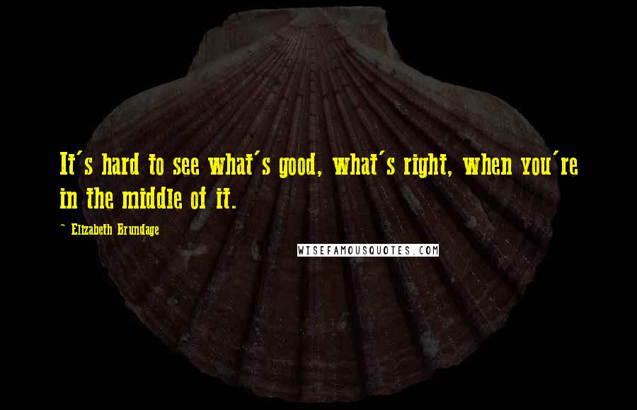 Elizabeth Brundage Quotes: It's hard to see what's good, what's right, when you're in the middle of it.