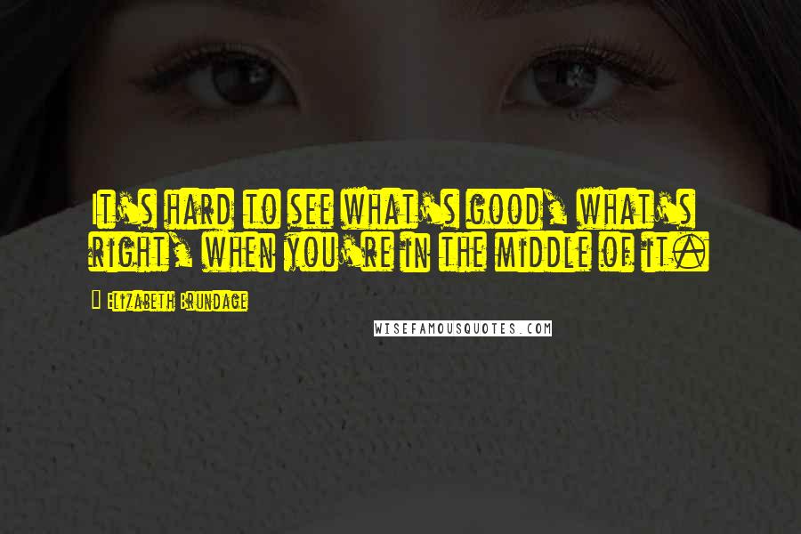 Elizabeth Brundage Quotes: It's hard to see what's good, what's right, when you're in the middle of it.