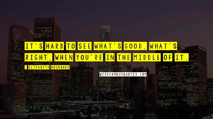 Elizabeth Brundage Quotes: It's hard to see what's good, what's right, when you're in the middle of it.