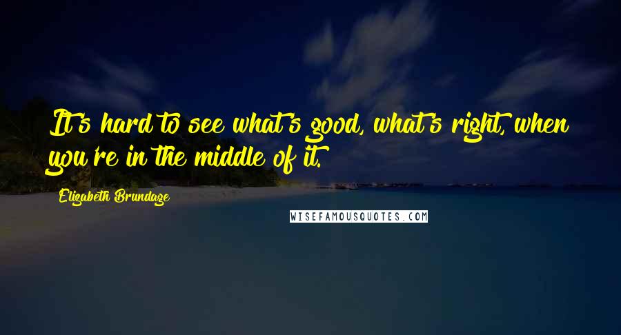 Elizabeth Brundage Quotes: It's hard to see what's good, what's right, when you're in the middle of it.