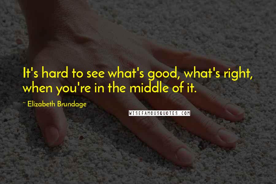 Elizabeth Brundage Quotes: It's hard to see what's good, what's right, when you're in the middle of it.