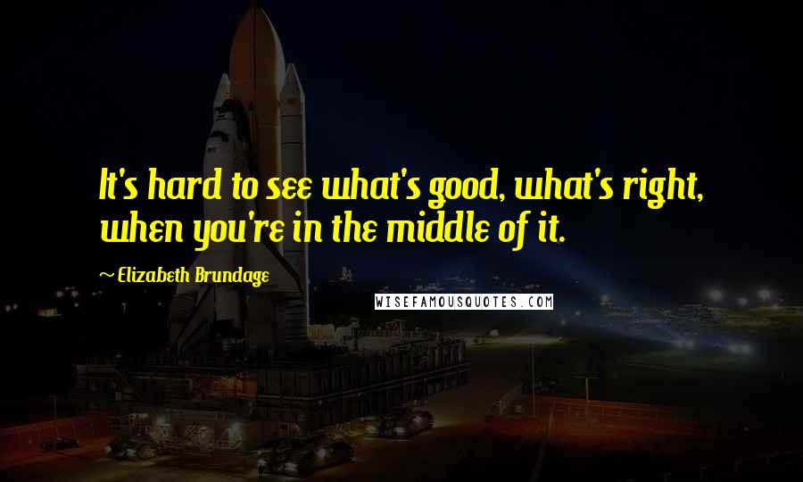Elizabeth Brundage Quotes: It's hard to see what's good, what's right, when you're in the middle of it.