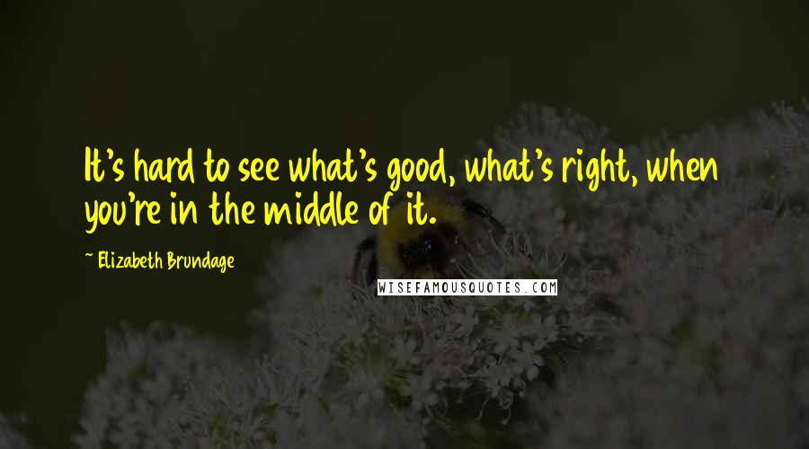 Elizabeth Brundage Quotes: It's hard to see what's good, what's right, when you're in the middle of it.