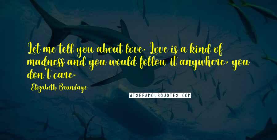 Elizabeth Brundage Quotes: Let me tell you about love. Love is a kind of madness and you would follow it anywhere, you don't care.