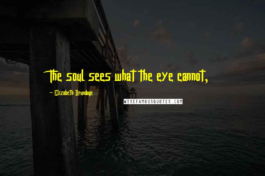 Elizabeth Brundage Quotes: The soul sees what the eye cannot,