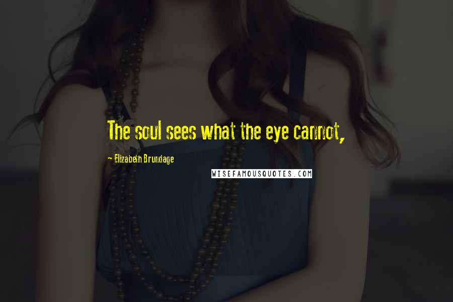 Elizabeth Brundage Quotes: The soul sees what the eye cannot,