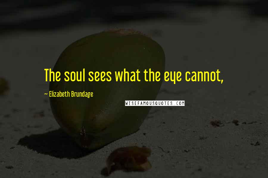 Elizabeth Brundage Quotes: The soul sees what the eye cannot,