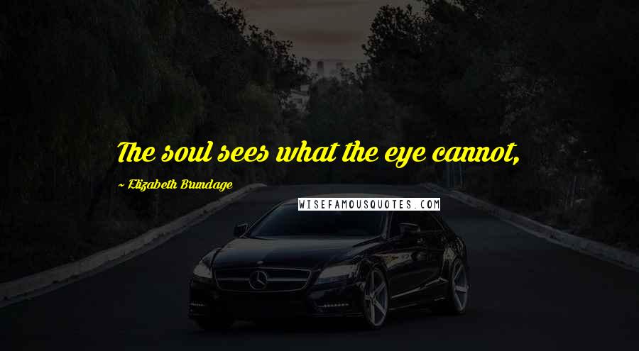Elizabeth Brundage Quotes: The soul sees what the eye cannot,