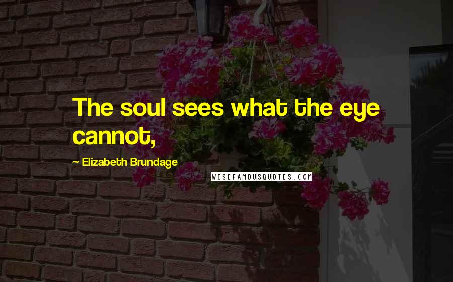 Elizabeth Brundage Quotes: The soul sees what the eye cannot,