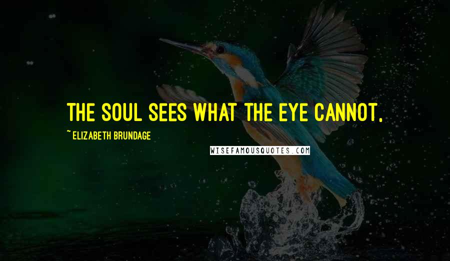 Elizabeth Brundage Quotes: The soul sees what the eye cannot,