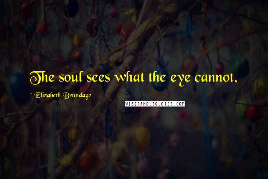 Elizabeth Brundage Quotes: The soul sees what the eye cannot,