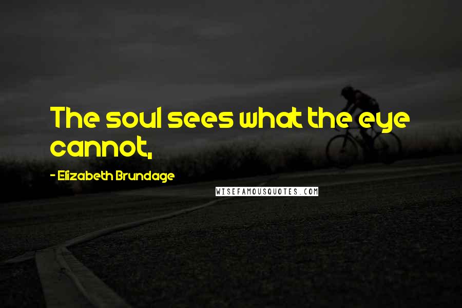 Elizabeth Brundage Quotes: The soul sees what the eye cannot,