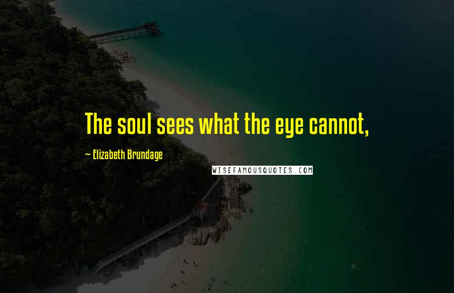 Elizabeth Brundage Quotes: The soul sees what the eye cannot,