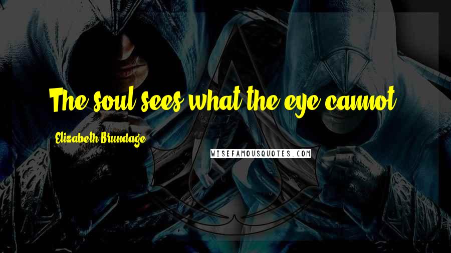 Elizabeth Brundage Quotes: The soul sees what the eye cannot,