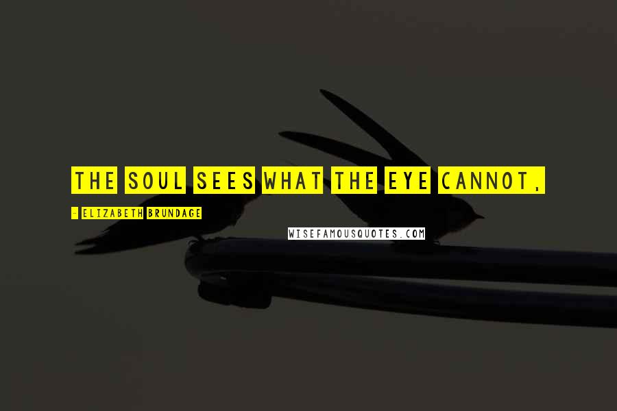 Elizabeth Brundage Quotes: The soul sees what the eye cannot,