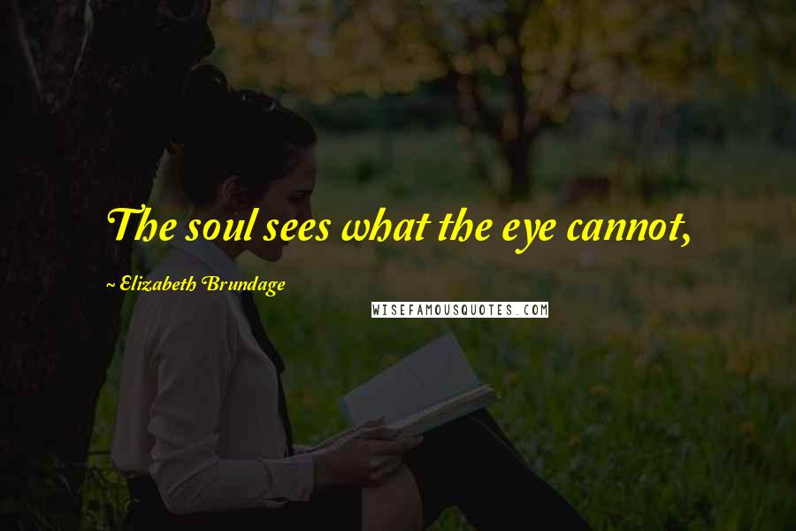 Elizabeth Brundage Quotes: The soul sees what the eye cannot,