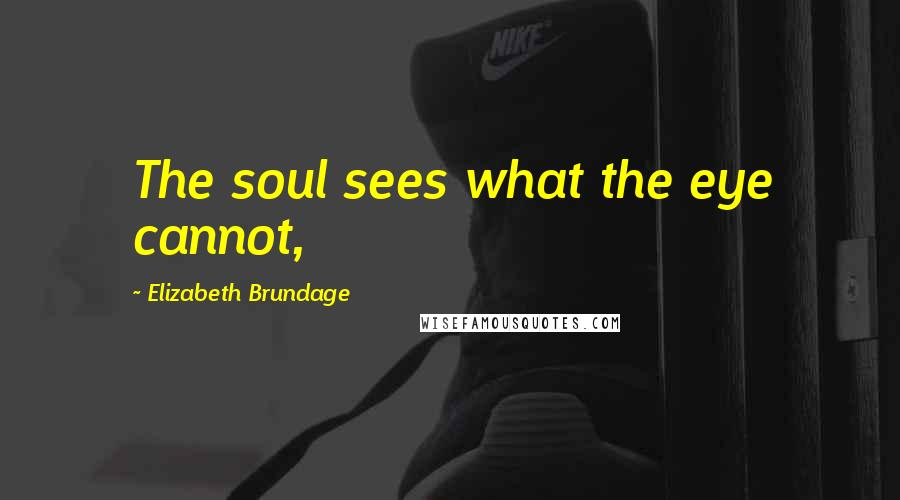 Elizabeth Brundage Quotes: The soul sees what the eye cannot,