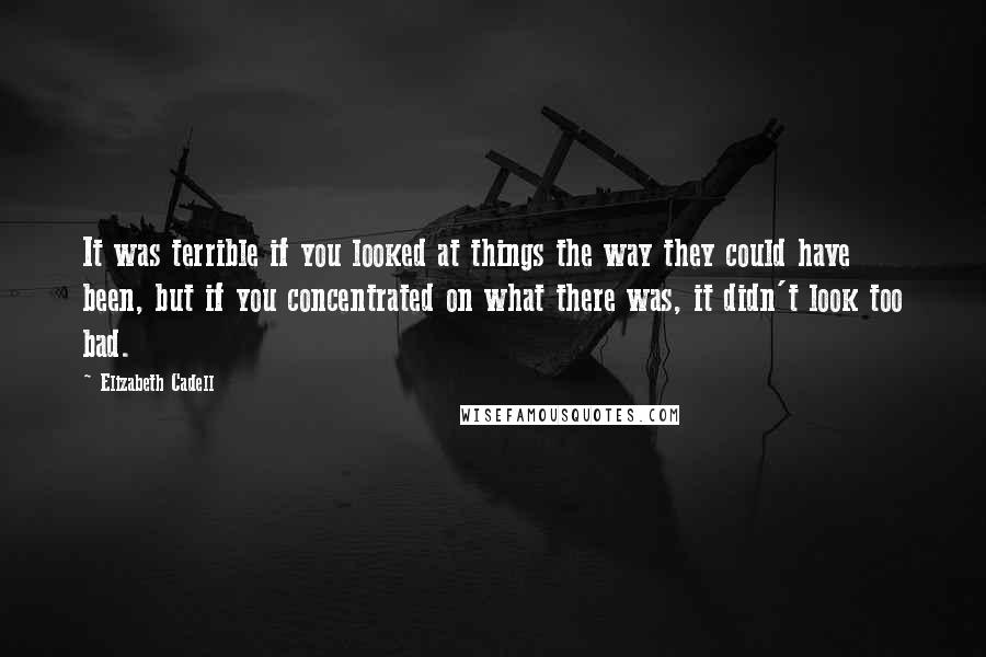 Elizabeth Cadell Quotes: It was terrible if you looked at things the way they could have been, but if you concentrated on what there was, it didn't look too bad.