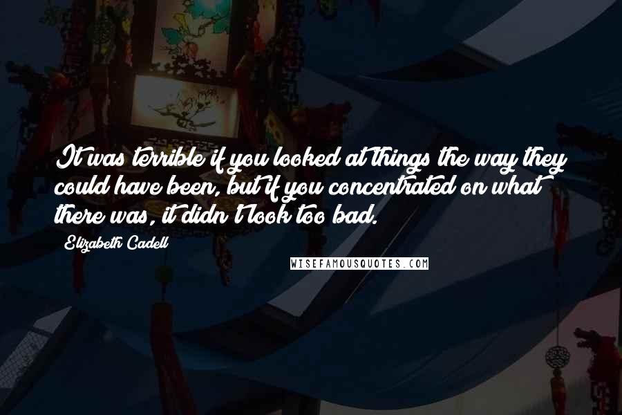 Elizabeth Cadell Quotes: It was terrible if you looked at things the way they could have been, but if you concentrated on what there was, it didn't look too bad.