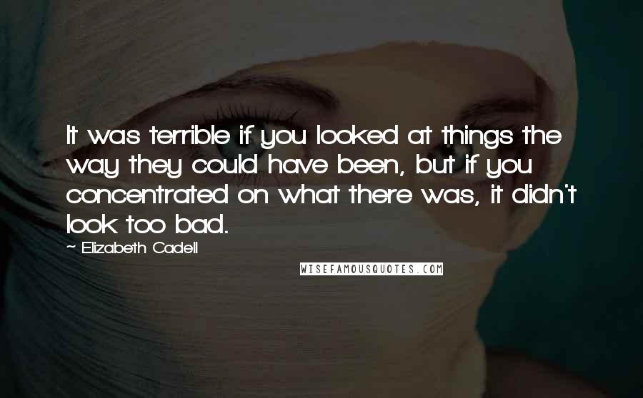 Elizabeth Cadell Quotes: It was terrible if you looked at things the way they could have been, but if you concentrated on what there was, it didn't look too bad.