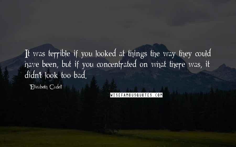 Elizabeth Cadell Quotes: It was terrible if you looked at things the way they could have been, but if you concentrated on what there was, it didn't look too bad.
