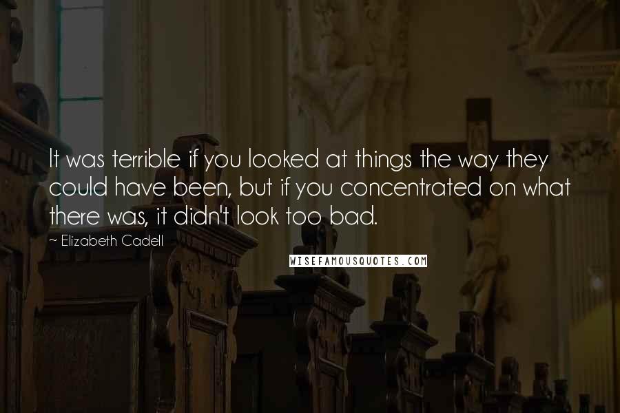 Elizabeth Cadell Quotes: It was terrible if you looked at things the way they could have been, but if you concentrated on what there was, it didn't look too bad.