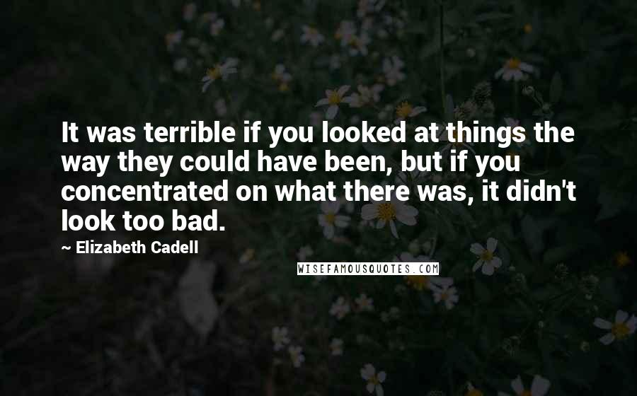 Elizabeth Cadell Quotes: It was terrible if you looked at things the way they could have been, but if you concentrated on what there was, it didn't look too bad.