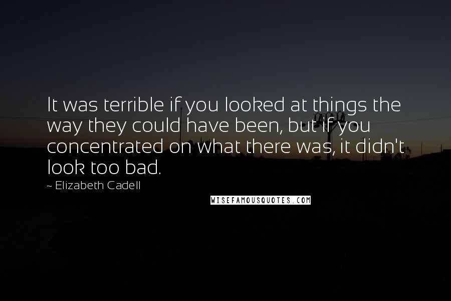 Elizabeth Cadell Quotes: It was terrible if you looked at things the way they could have been, but if you concentrated on what there was, it didn't look too bad.