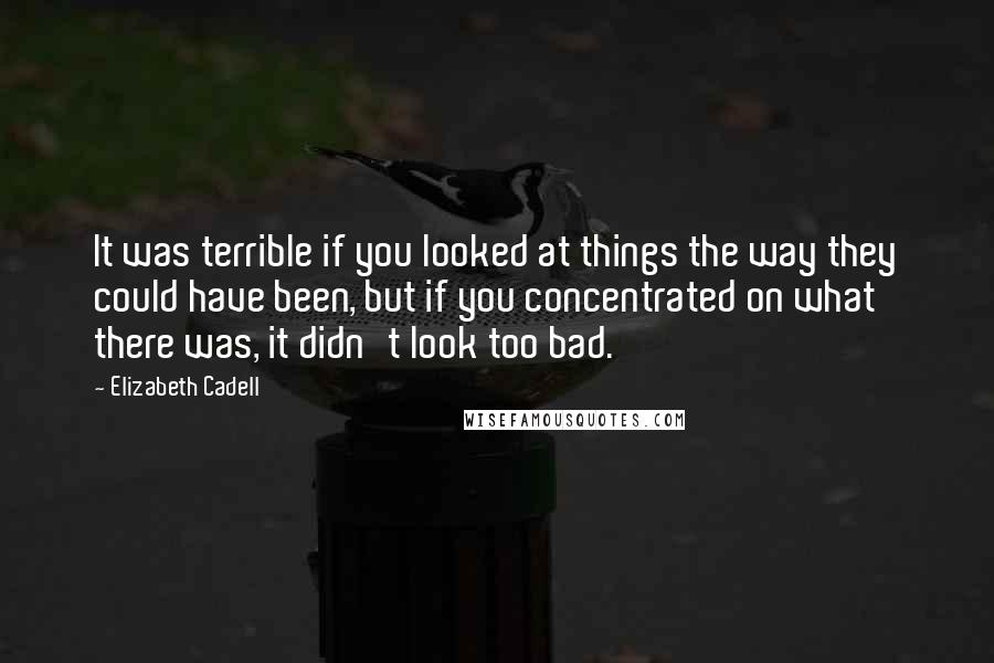 Elizabeth Cadell Quotes: It was terrible if you looked at things the way they could have been, but if you concentrated on what there was, it didn't look too bad.