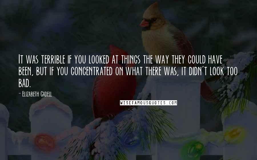 Elizabeth Cadell Quotes: It was terrible if you looked at things the way they could have been, but if you concentrated on what there was, it didn't look too bad.