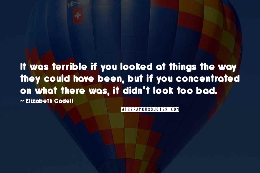 Elizabeth Cadell Quotes: It was terrible if you looked at things the way they could have been, but if you concentrated on what there was, it didn't look too bad.