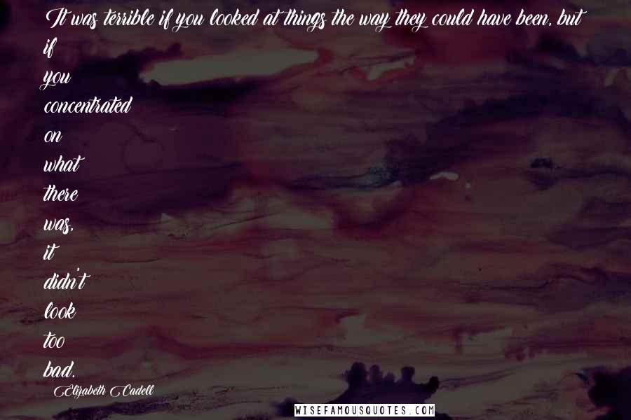 Elizabeth Cadell Quotes: It was terrible if you looked at things the way they could have been, but if you concentrated on what there was, it didn't look too bad.
