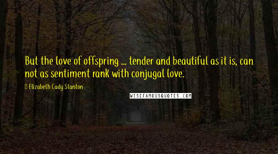 Elizabeth Cady Stanton Quotes: But the love of offspring ... tender and beautiful as it is, can not as sentiment rank with conjugal love.