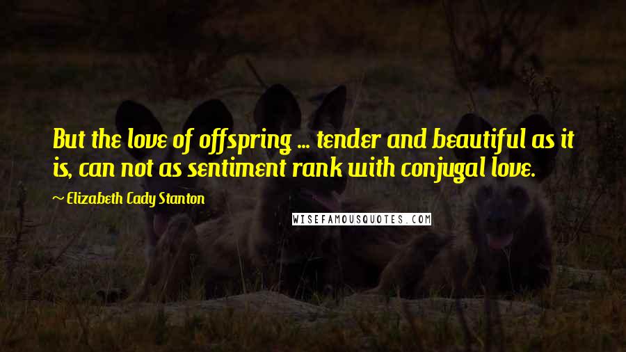 Elizabeth Cady Stanton Quotes: But the love of offspring ... tender and beautiful as it is, can not as sentiment rank with conjugal love.