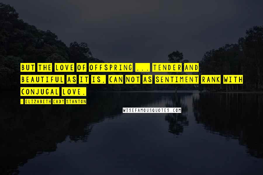 Elizabeth Cady Stanton Quotes: But the love of offspring ... tender and beautiful as it is, can not as sentiment rank with conjugal love.
