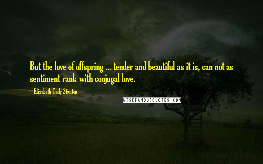 Elizabeth Cady Stanton Quotes: But the love of offspring ... tender and beautiful as it is, can not as sentiment rank with conjugal love.