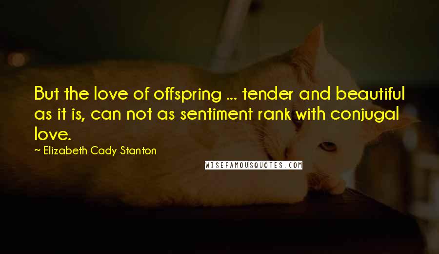 Elizabeth Cady Stanton Quotes: But the love of offspring ... tender and beautiful as it is, can not as sentiment rank with conjugal love.