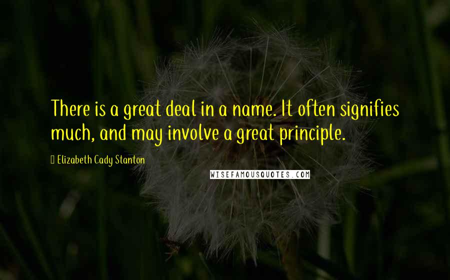 Elizabeth Cady Stanton Quotes: There is a great deal in a name. It often signifies much, and may involve a great principle.