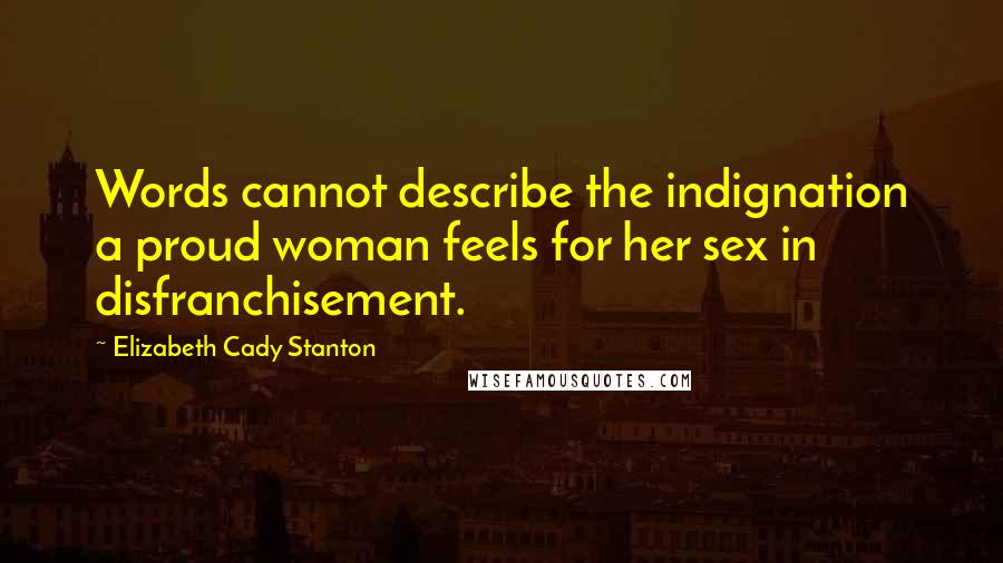 Elizabeth Cady Stanton Quotes: Words cannot describe the indignation a proud woman feels for her sex in disfranchisement.