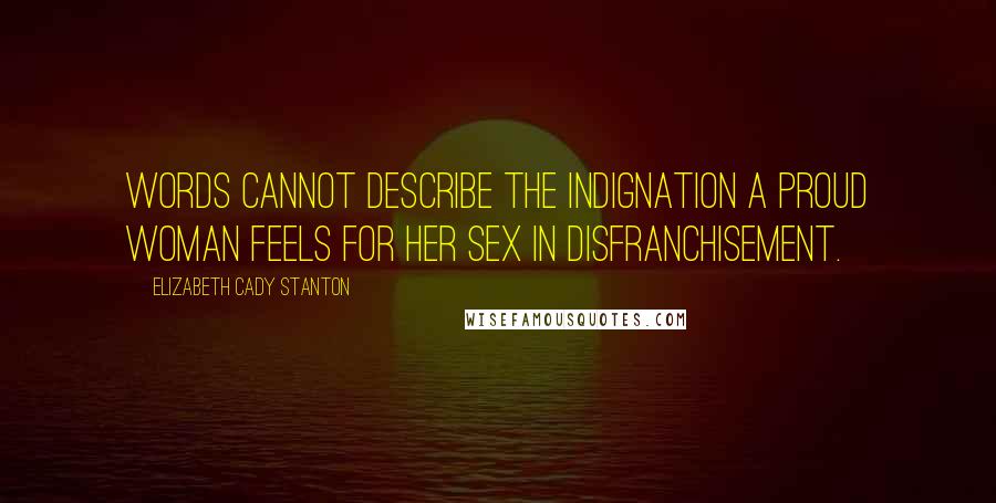 Elizabeth Cady Stanton Quotes: Words cannot describe the indignation a proud woman feels for her sex in disfranchisement.