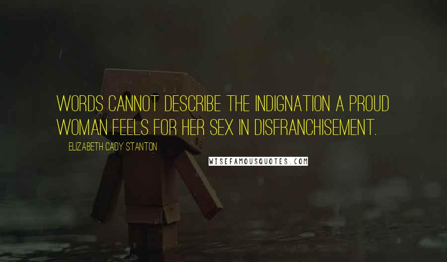 Elizabeth Cady Stanton Quotes: Words cannot describe the indignation a proud woman feels for her sex in disfranchisement.