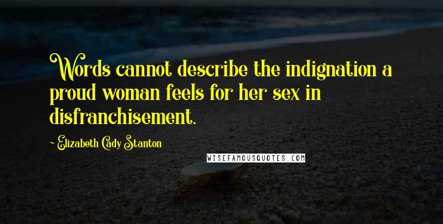 Elizabeth Cady Stanton Quotes: Words cannot describe the indignation a proud woman feels for her sex in disfranchisement.