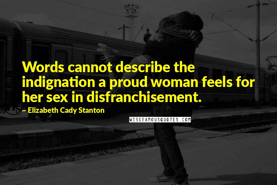 Elizabeth Cady Stanton Quotes: Words cannot describe the indignation a proud woman feels for her sex in disfranchisement.
