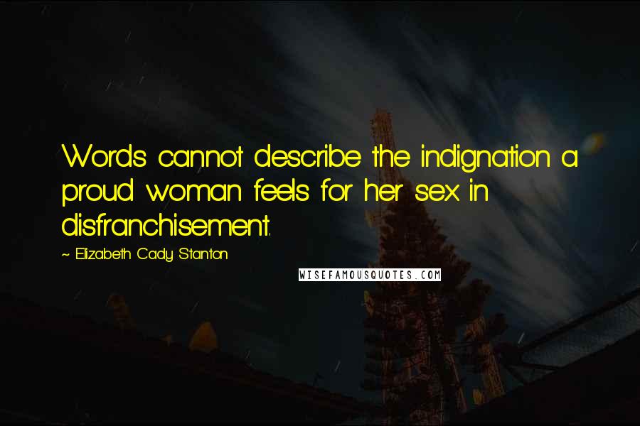 Elizabeth Cady Stanton Quotes: Words cannot describe the indignation a proud woman feels for her sex in disfranchisement.