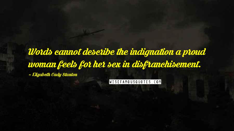 Elizabeth Cady Stanton Quotes: Words cannot describe the indignation a proud woman feels for her sex in disfranchisement.