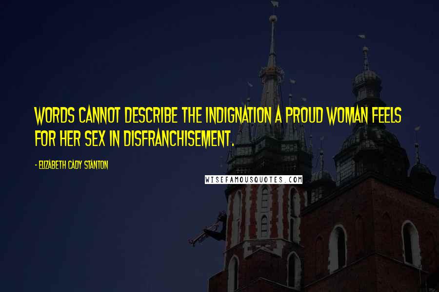 Elizabeth Cady Stanton Quotes: Words cannot describe the indignation a proud woman feels for her sex in disfranchisement.