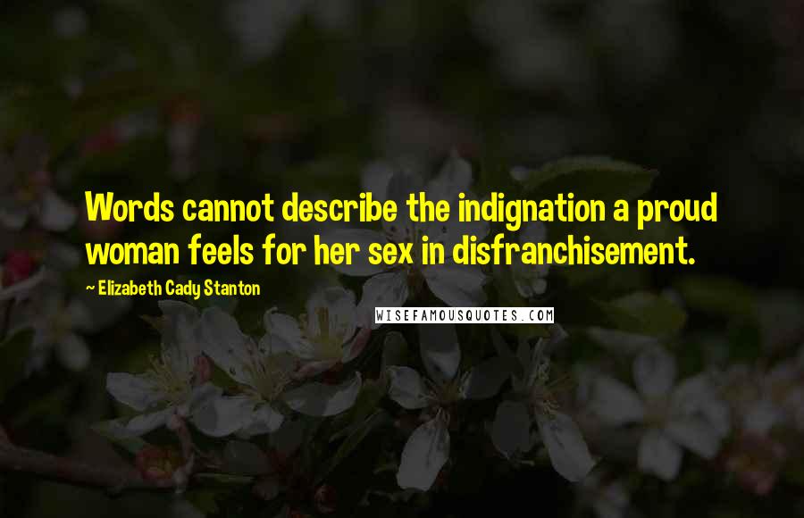Elizabeth Cady Stanton Quotes: Words cannot describe the indignation a proud woman feels for her sex in disfranchisement.