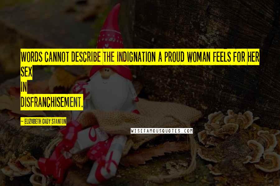 Elizabeth Cady Stanton Quotes: Words cannot describe the indignation a proud woman feels for her sex in disfranchisement.